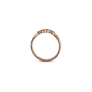 Anillos